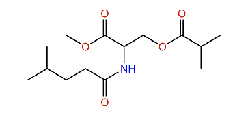 N-4-Methylvaleroyl-O-isobutyroyl-L-serine methyl ester